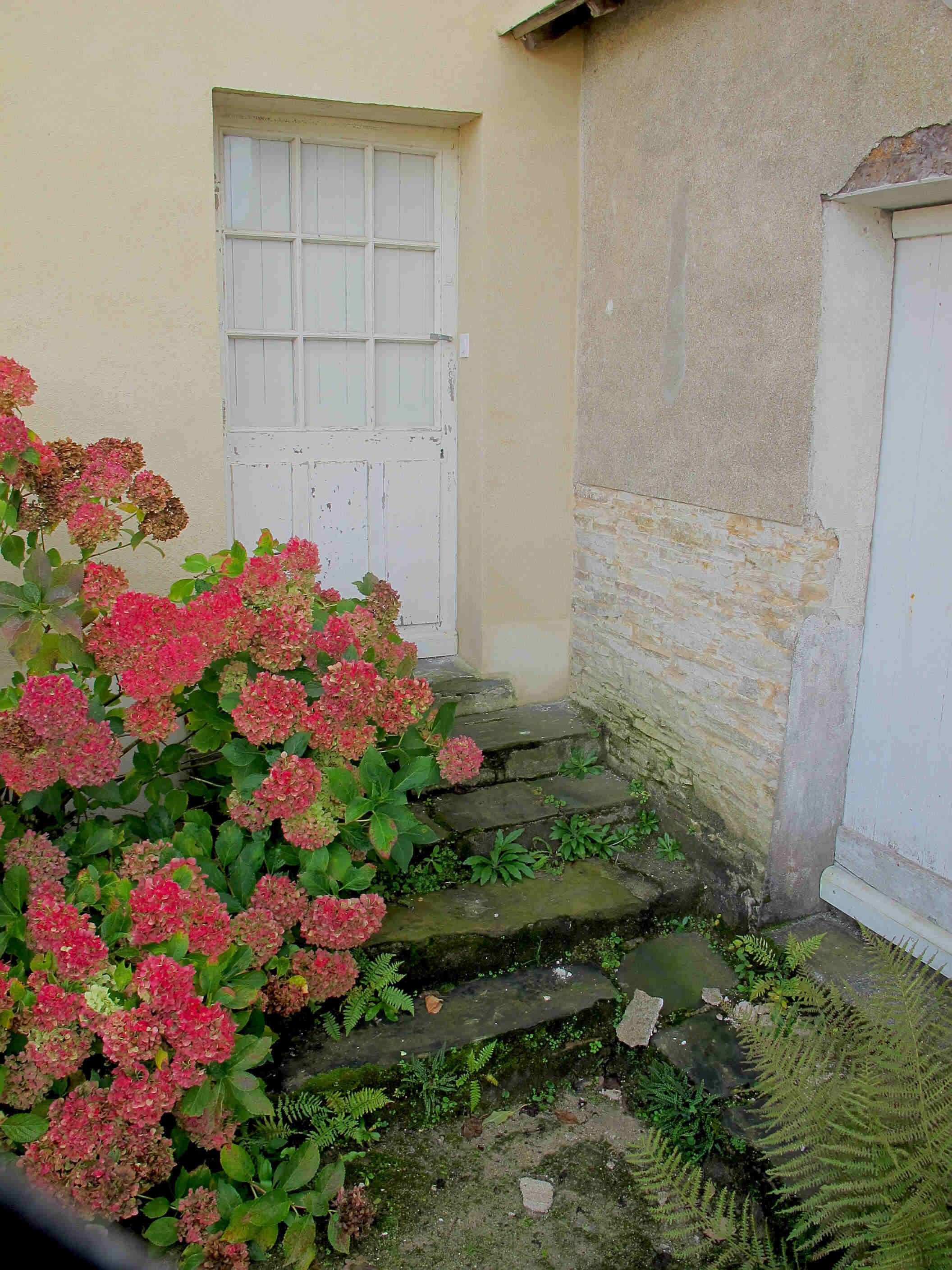 Main-courantes sur Perrons