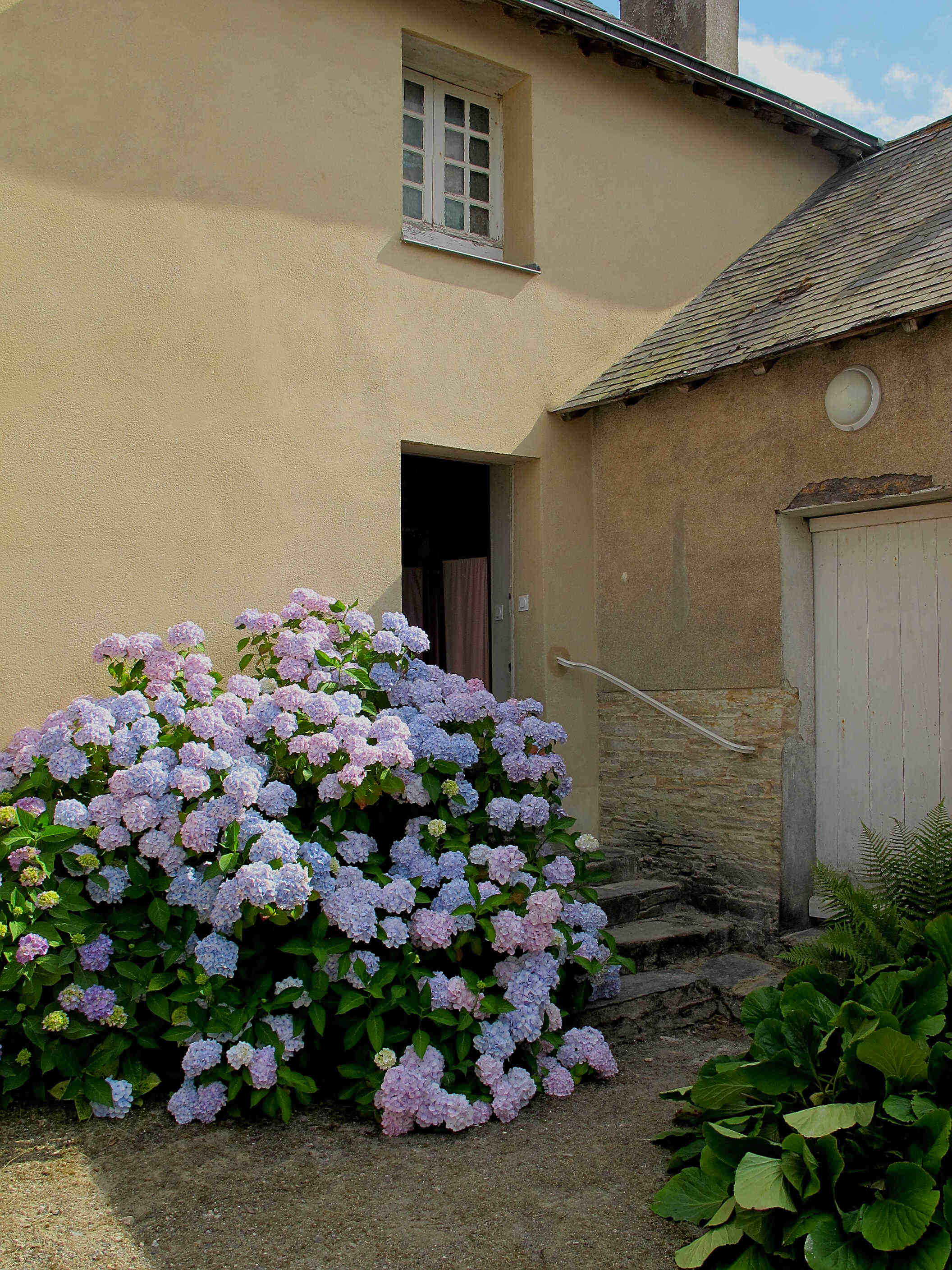 Main-courantes sur Perrons