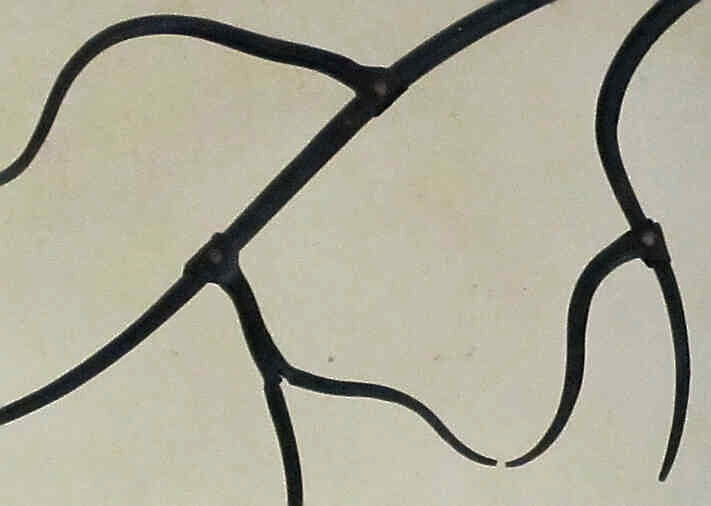 Août 2013<br/>Tringle à Rideaux