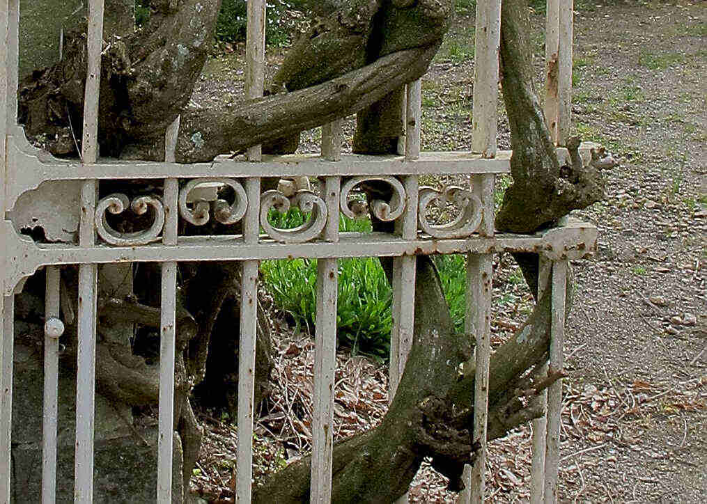 Avril 2021<br/>Grille d'Entrée