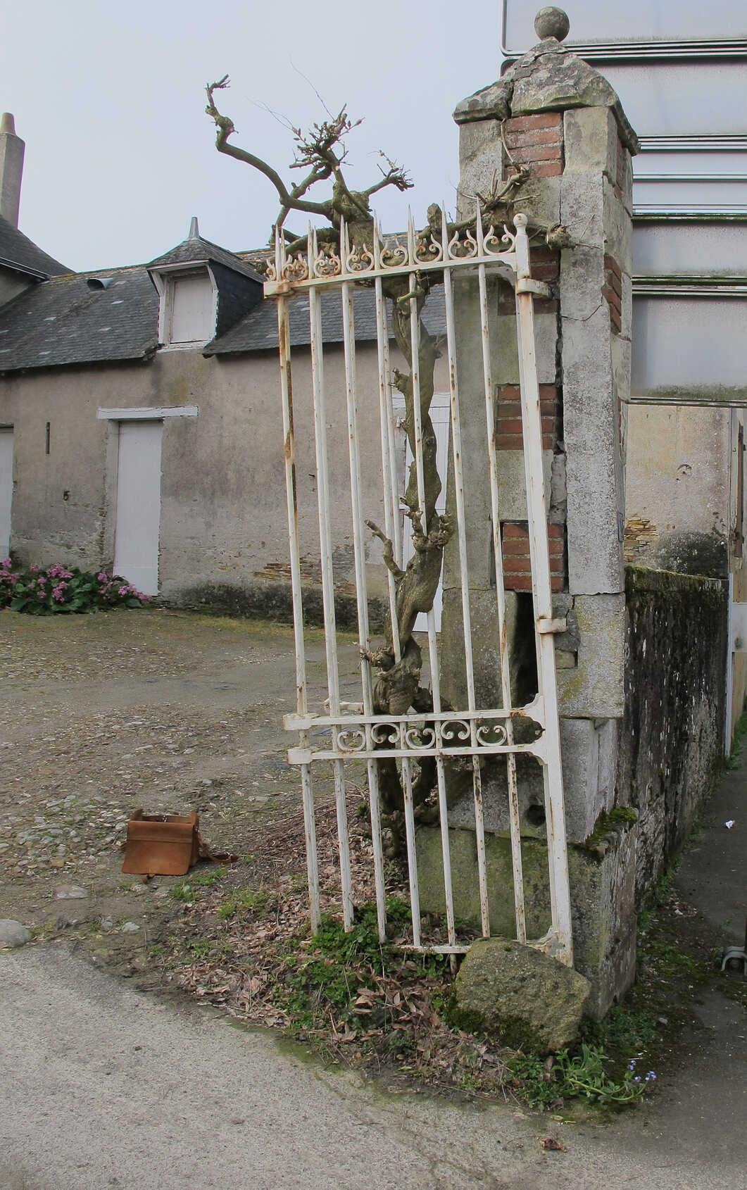 Grille d'Entrée