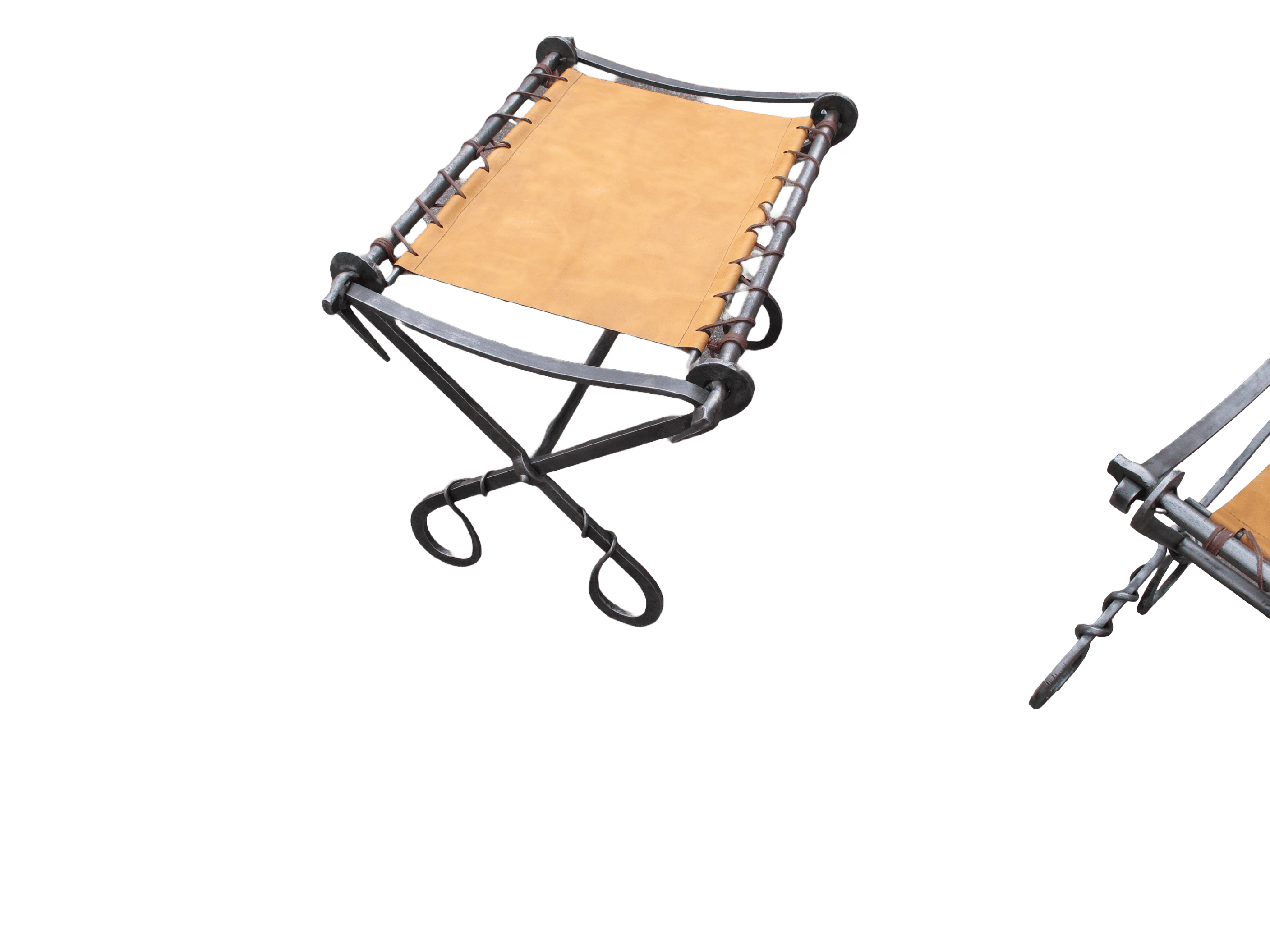 Curules assises en cuir
